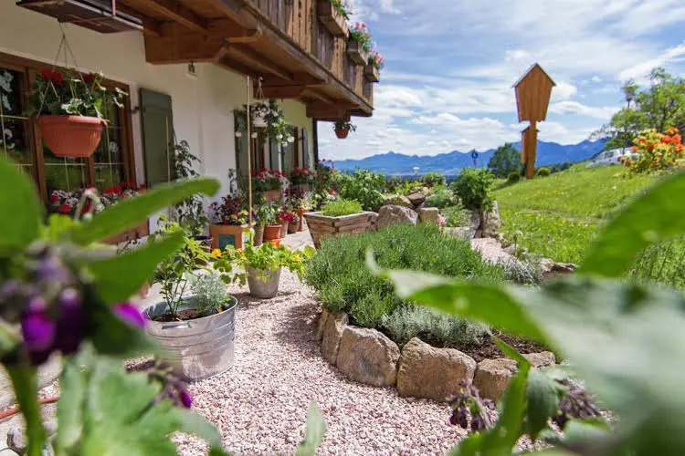 moor&mehr Bio Kurhotel Bad Kohlgrub
