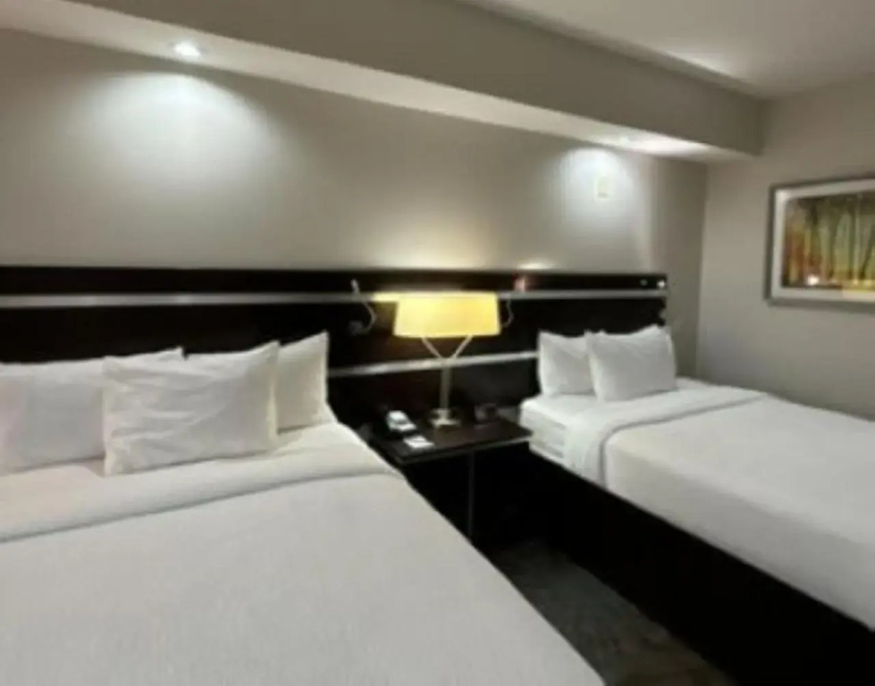 Fairfield Inn N Stes Marriott
