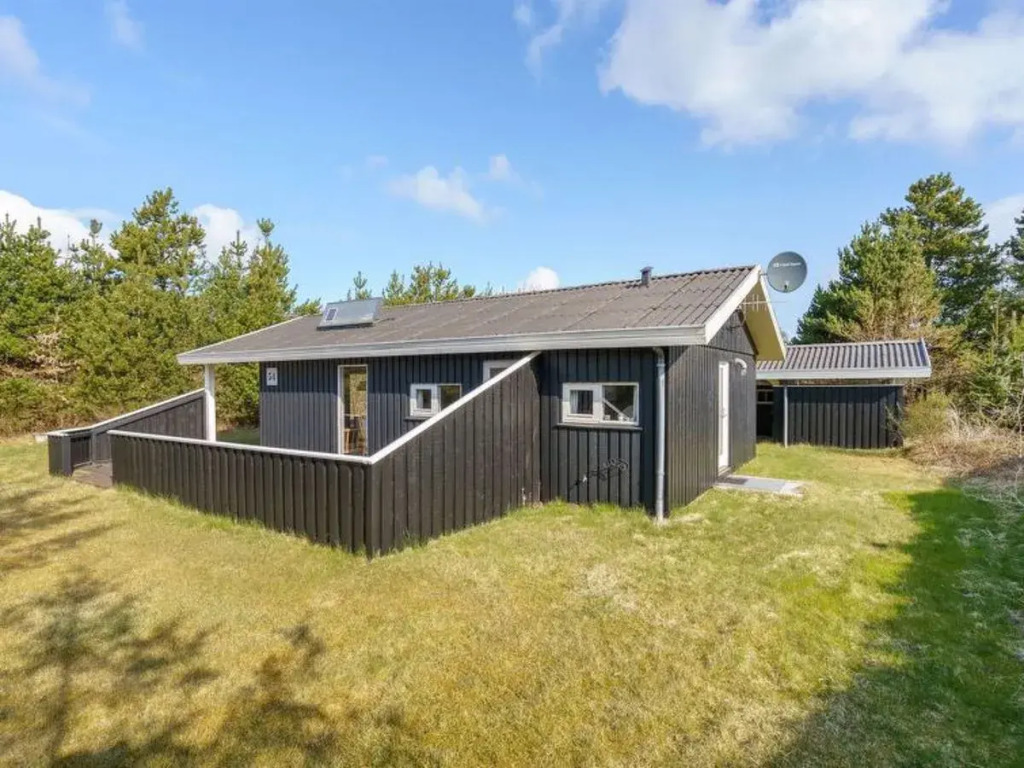 "Dane" - 2.9km from the sea in NW Jutland