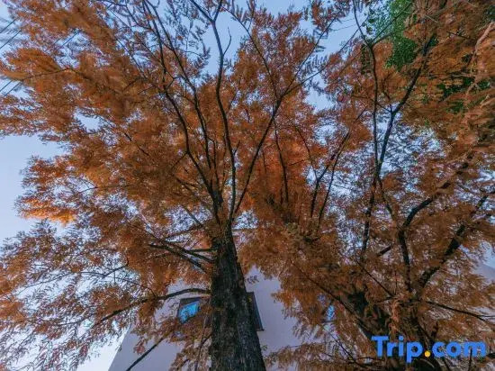 Huangshan Rural Slow Pace Homestay