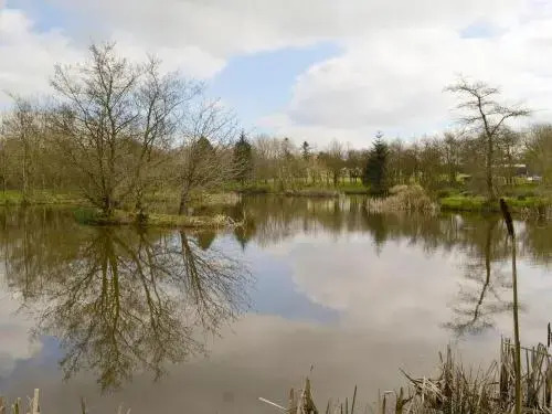 Willow Lodge