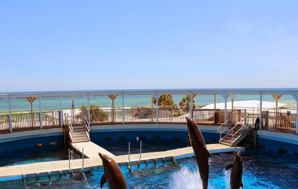 Island Princess - Calm And Colorful - 3 Br Condo - Rjv 1585