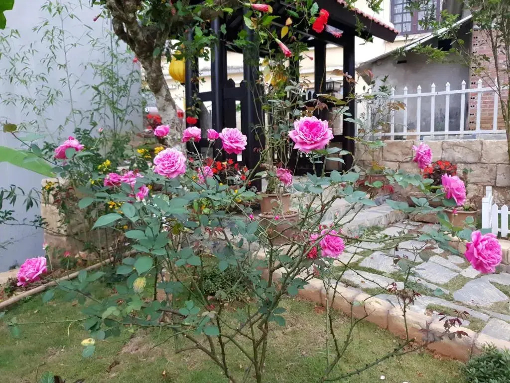 Sunlit Homestay Sapa