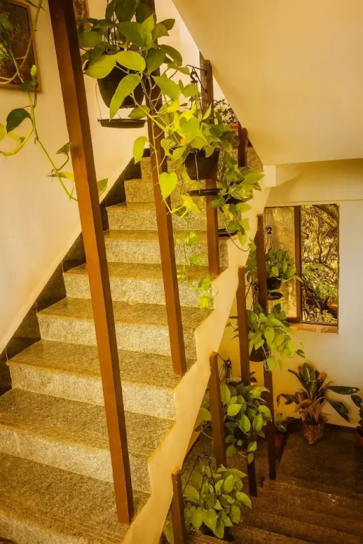 Arambol Bliss Hote Apartments