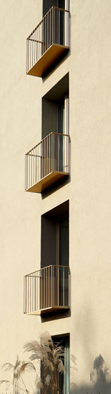 Campus Apartments