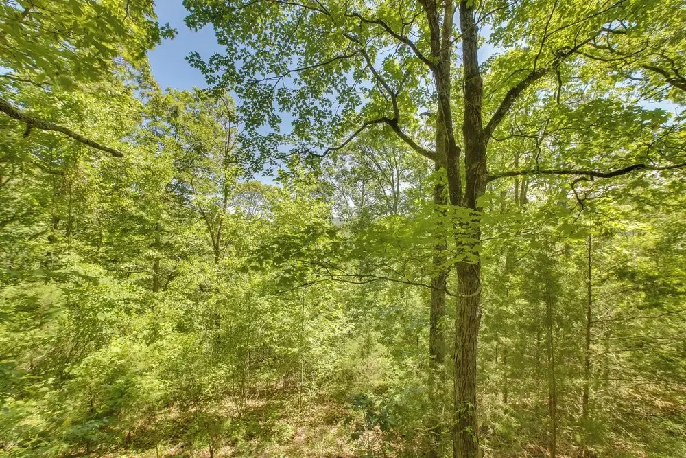 Secluded Studio w/ Deck ~ 8 Miles to Beaver Lake!
