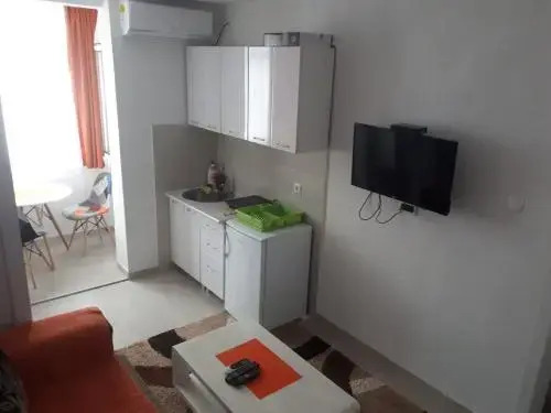 Apartment Igor