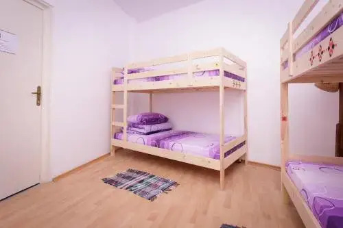 Bucur's Shelter Hostel