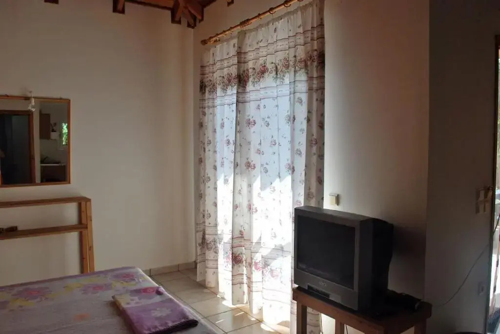 Studio Saini