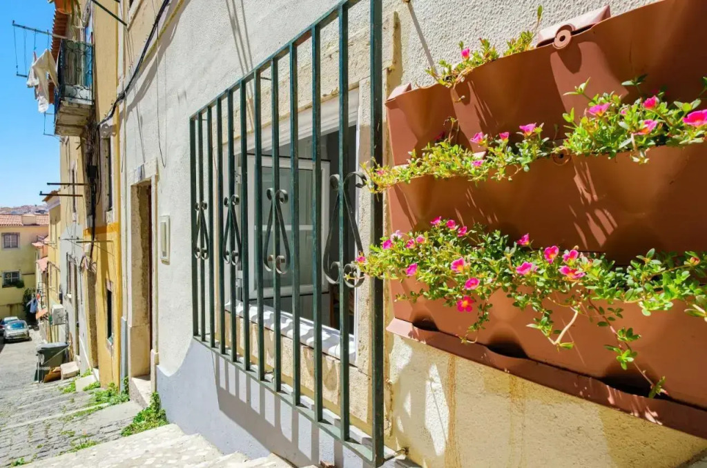 NEW! Unique 1 bedroom apartment- Santa Catarina 42