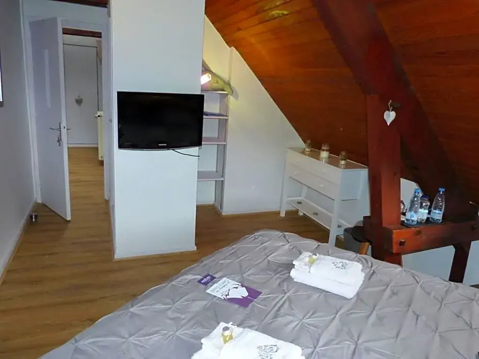 LES CHAMBRES DU GAVE DOSSAU