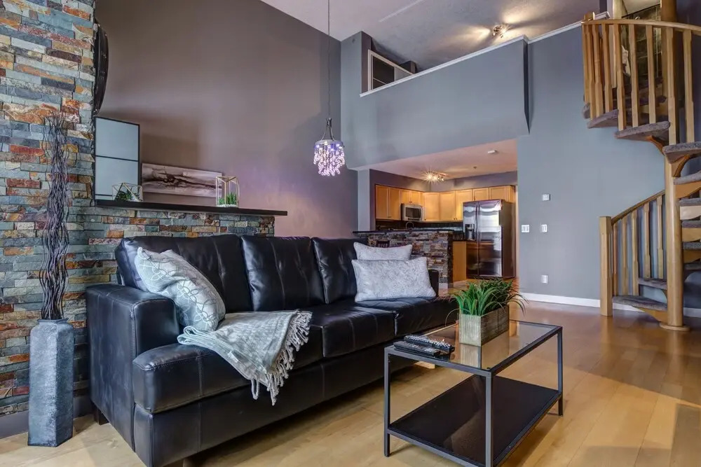 Suite Digs Paradyme