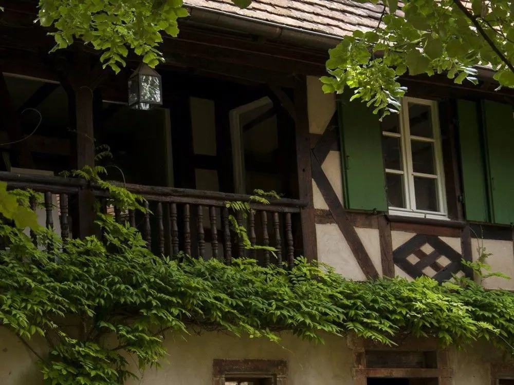 Unter der Linde