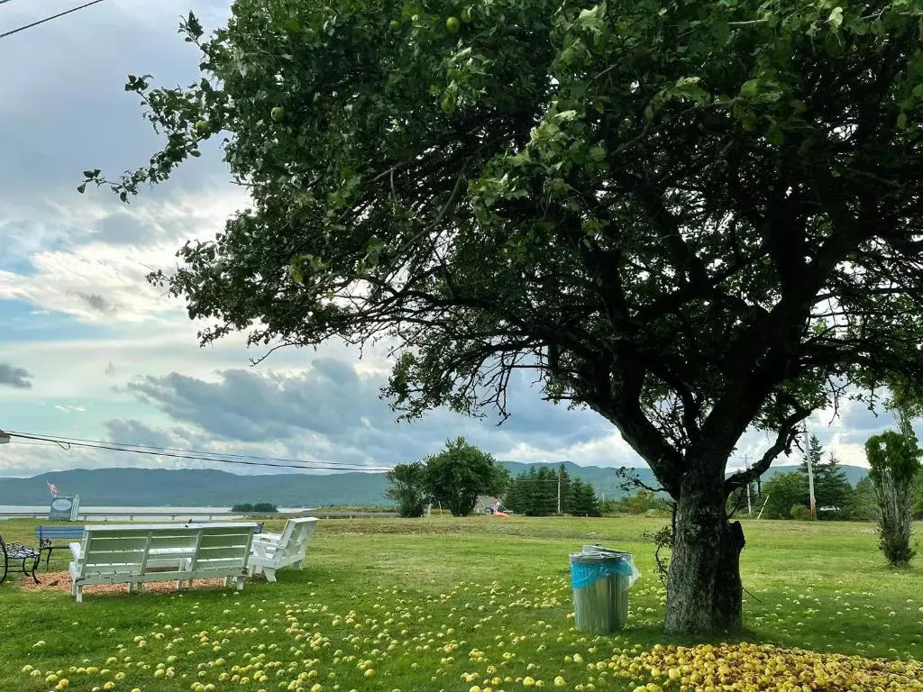 Sea Breeze Cottages