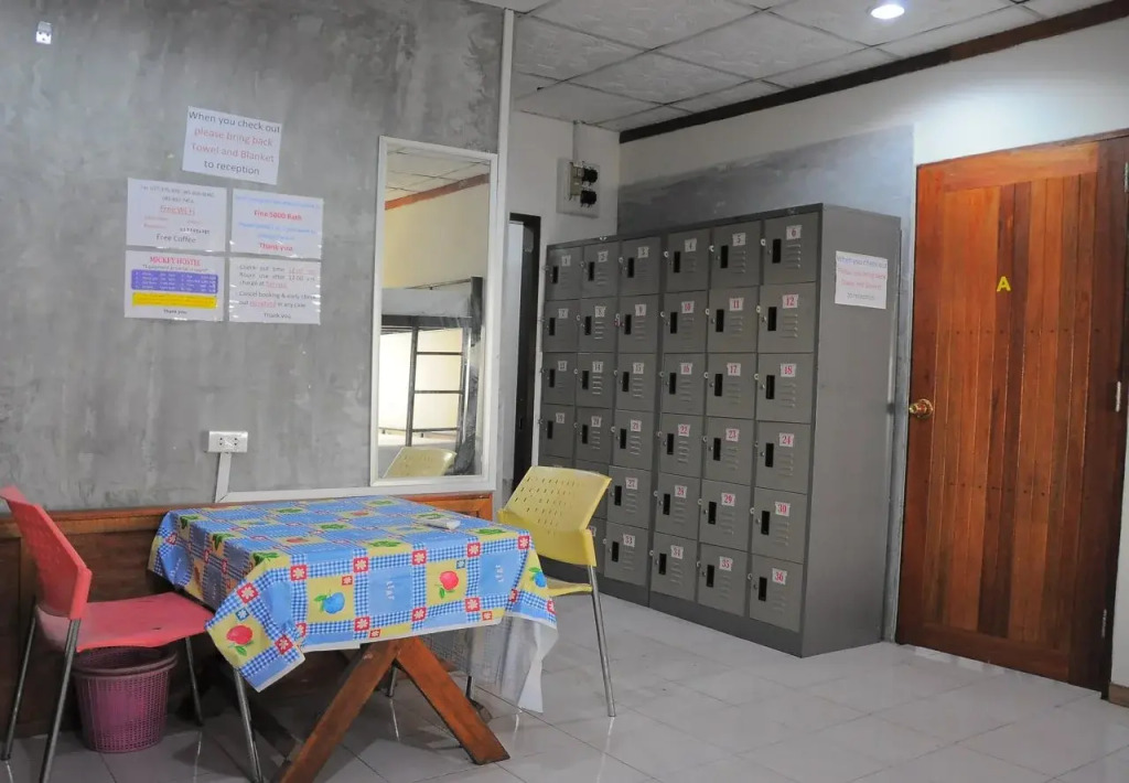 Mickey Hostel