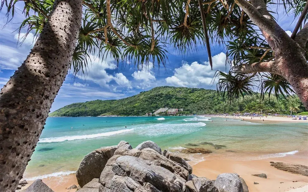 Relife Residence : 1 BR Apartment in Nai Harn