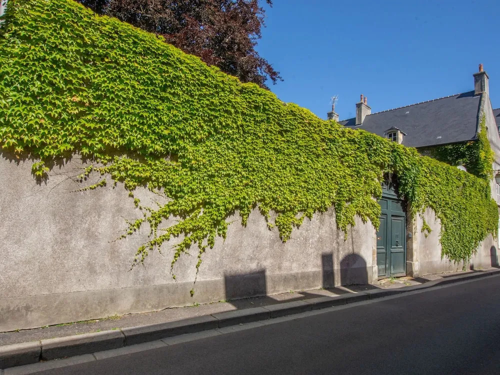 Cosy Studio in Bayeux near Museum of Art