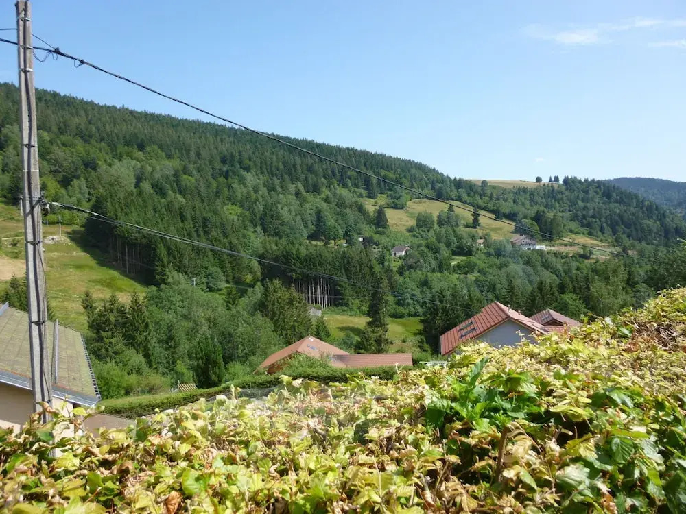 Chalet in the Vosges, Slopes and Hiking Paths
