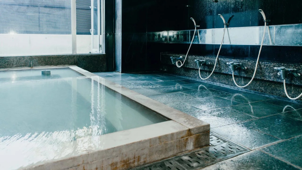 WPÜ HOTEL HAKONE