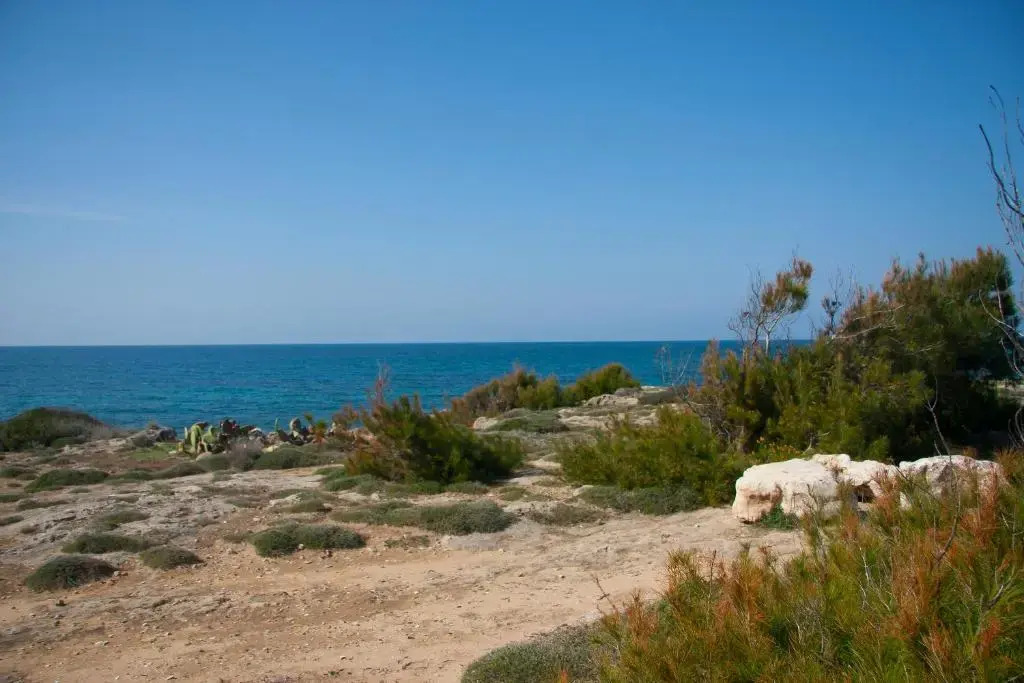Casetta Frontemare
