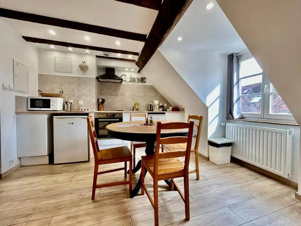 LOurs de Colmar - Appartements en centre ville
