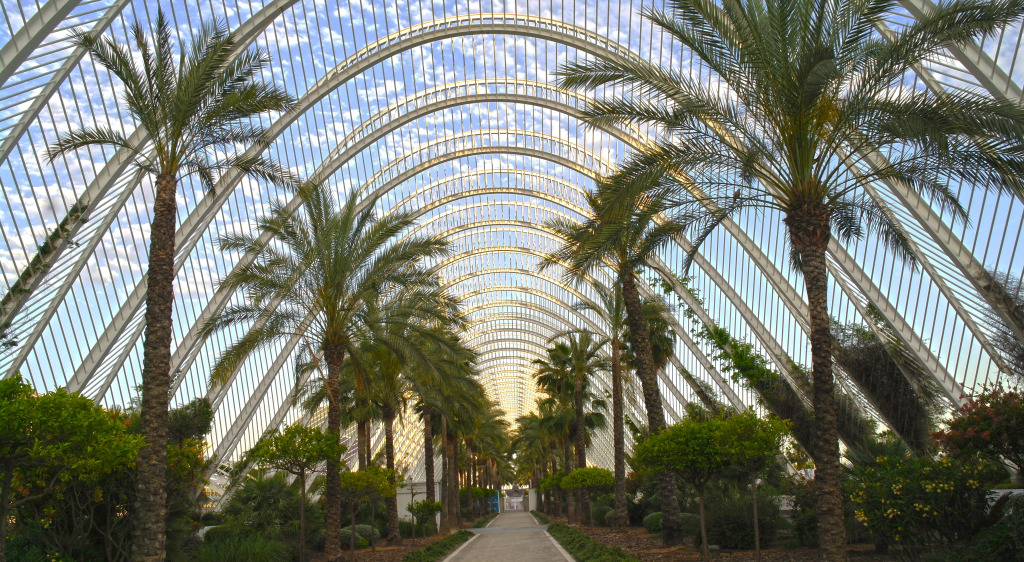 Valencia Dalt Apartaments