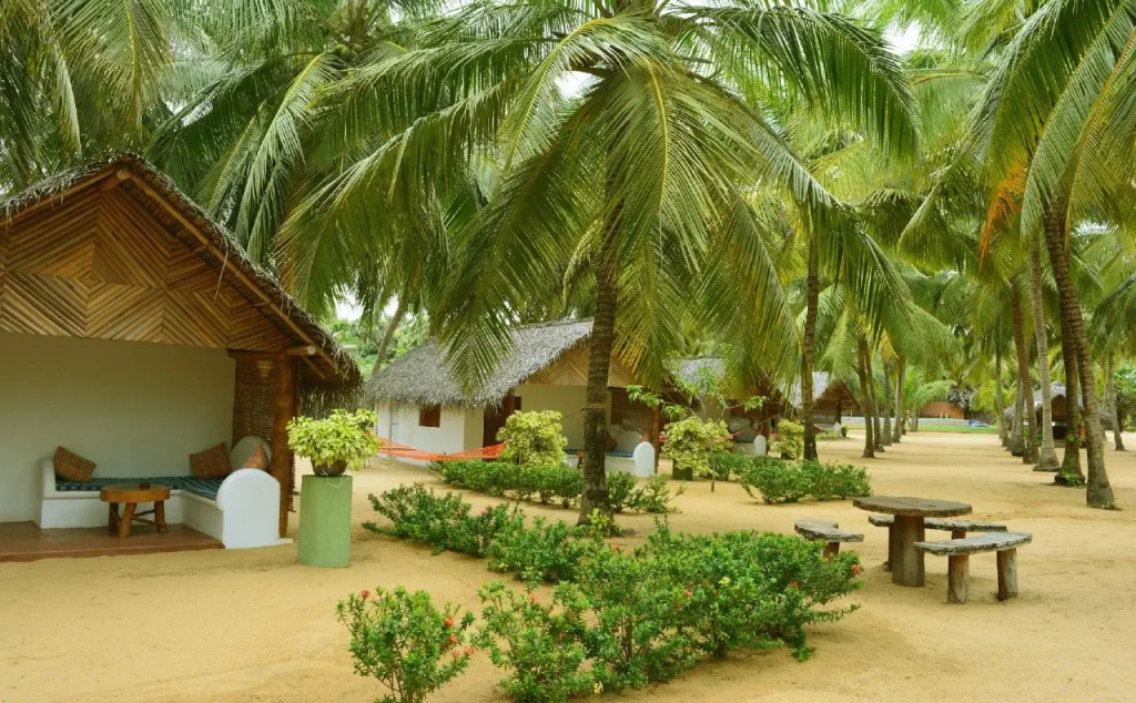 Roshanne Beach Resort, Kalpitiya