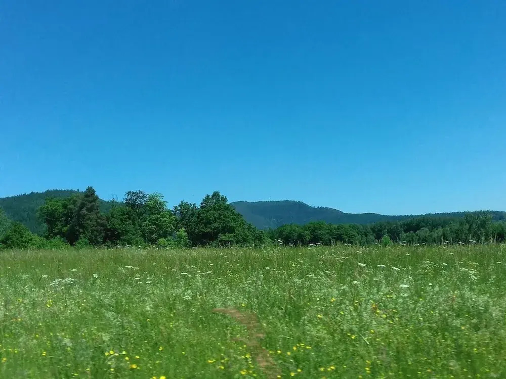 Gite Le Sapin
