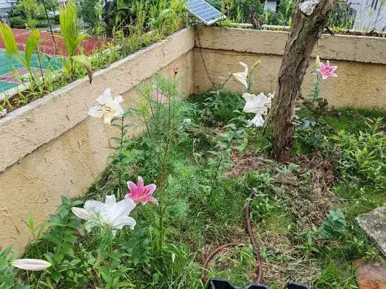 Sanqingshan Yinhu Xiaozhu Homestay