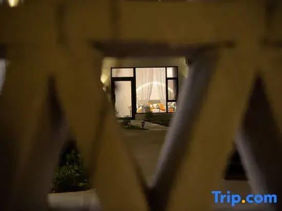 Turks Flip Pigeon Homestay