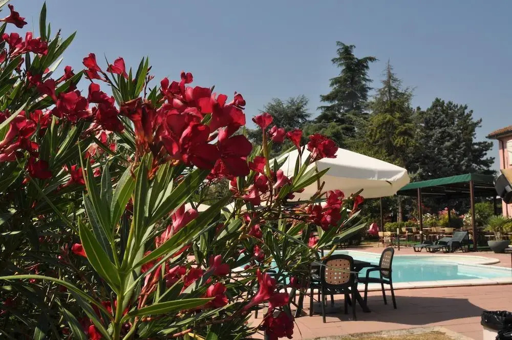 Agriturismo La Prosciutta