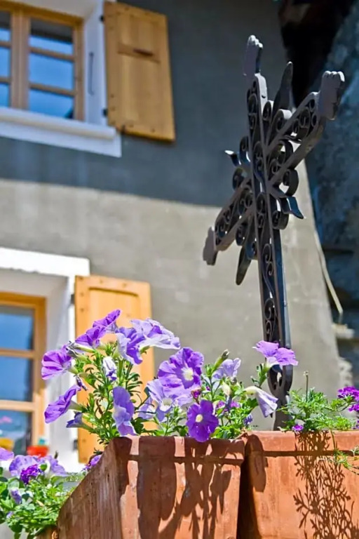 Au Cheval Blanc - appartements et chambres dhôtes