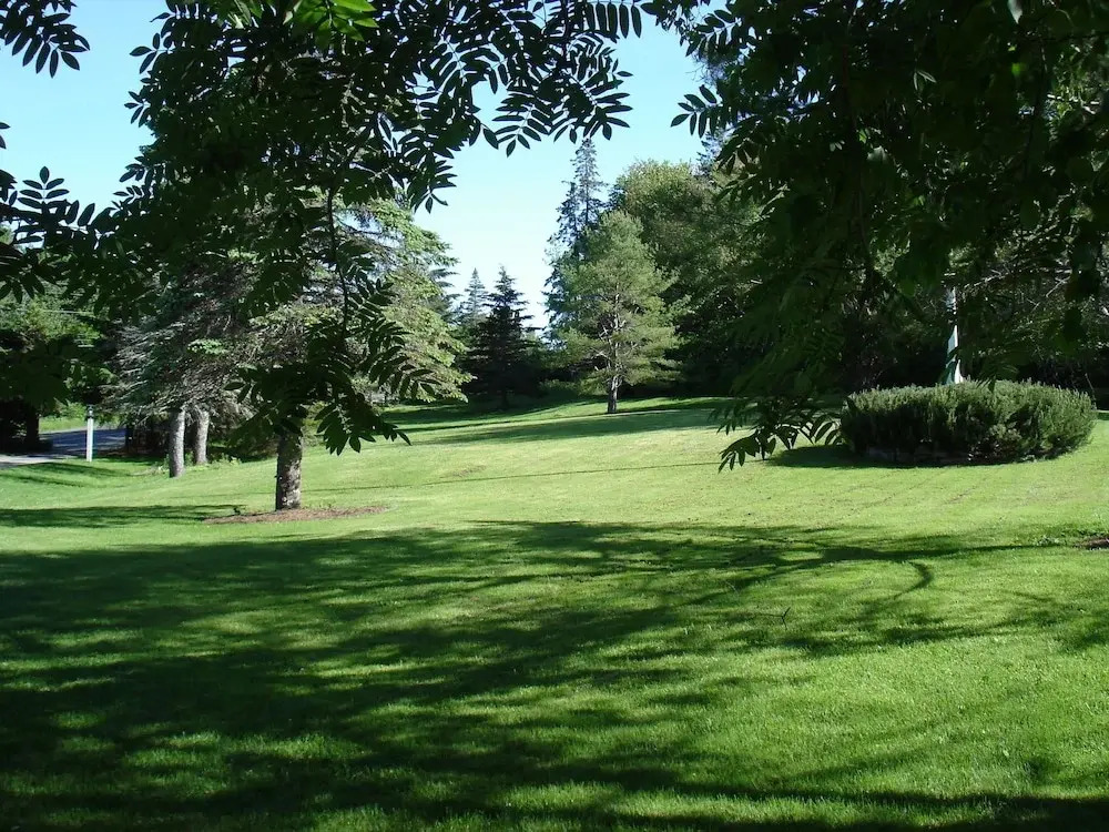 Camp DeForest