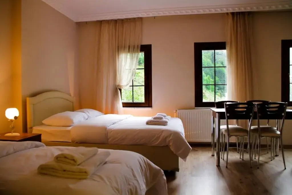 Uzungol Taskiran Ela Hotel