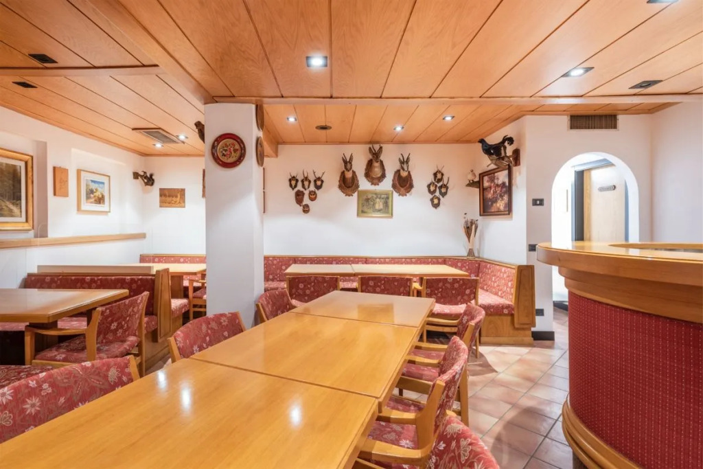 Hotel Alpina