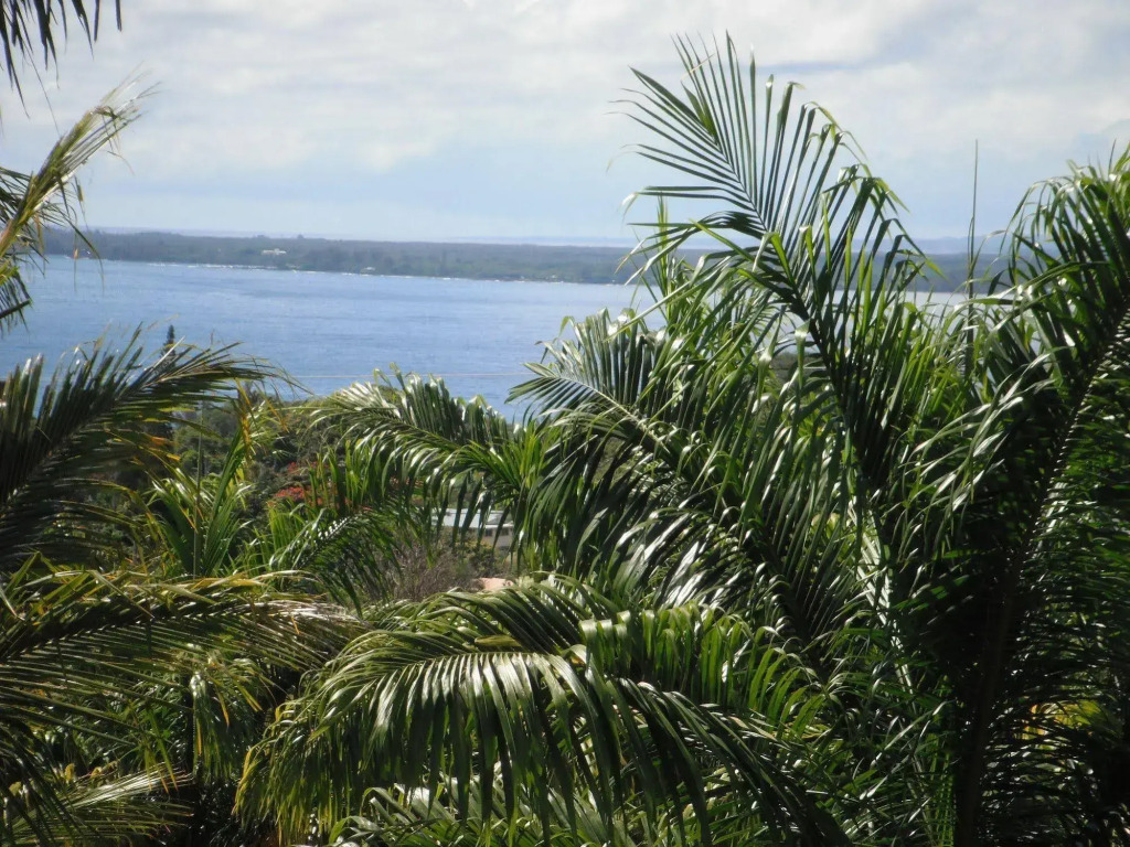 Island Goodes