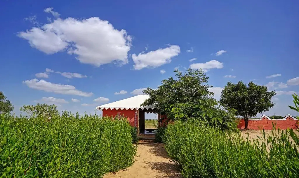 Treebo Desert Harmony Camp