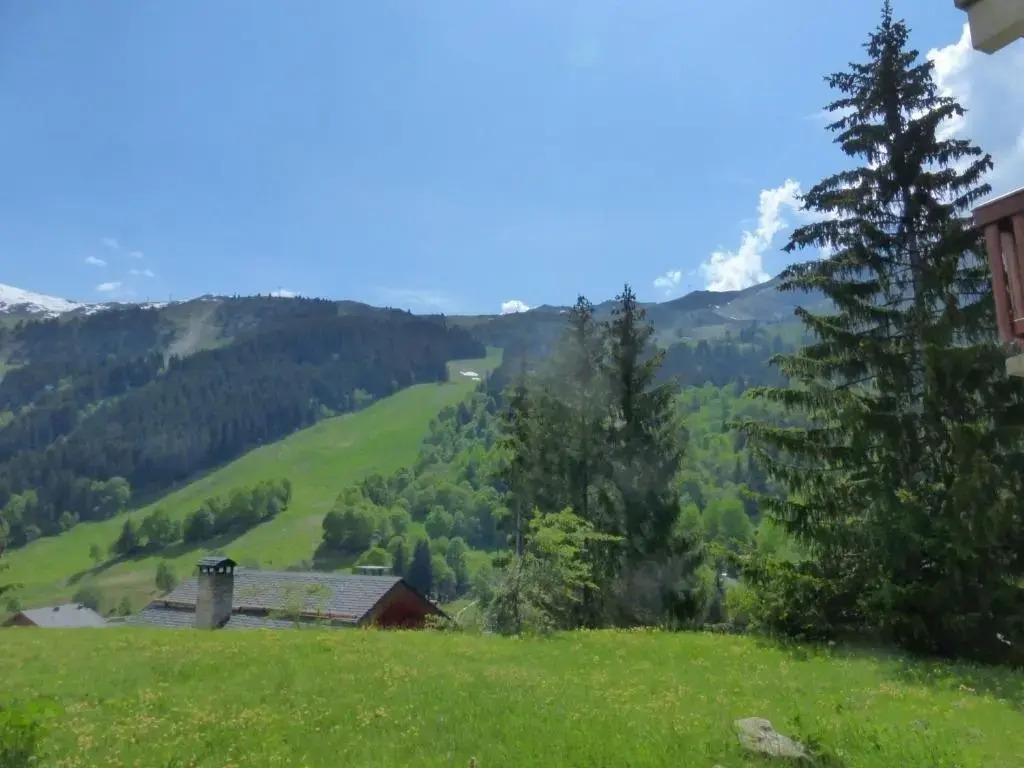 Appartement Méribel, 2 pièces, 5 personnes - FR-1-411-613