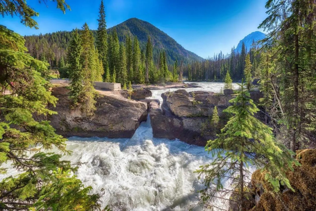Beautiful 2BDM 2 Bth Sleep up to 6 Adults & Kids at National Park Gate