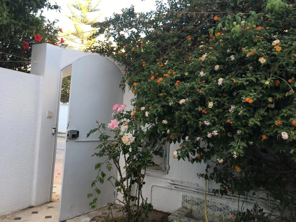 Studio Marsa
