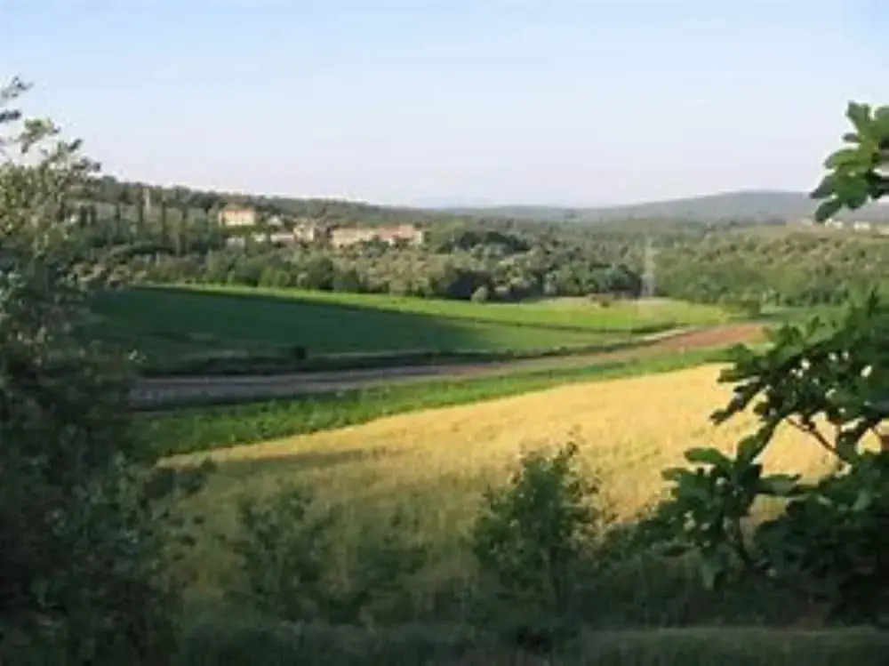 Podere Ficareto Farm