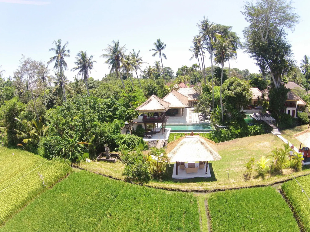 Tamu Seseh
