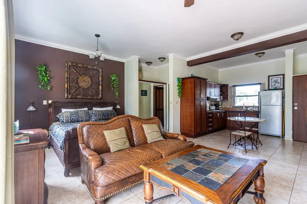 8203 - King, Ocean Dream, Cabarete