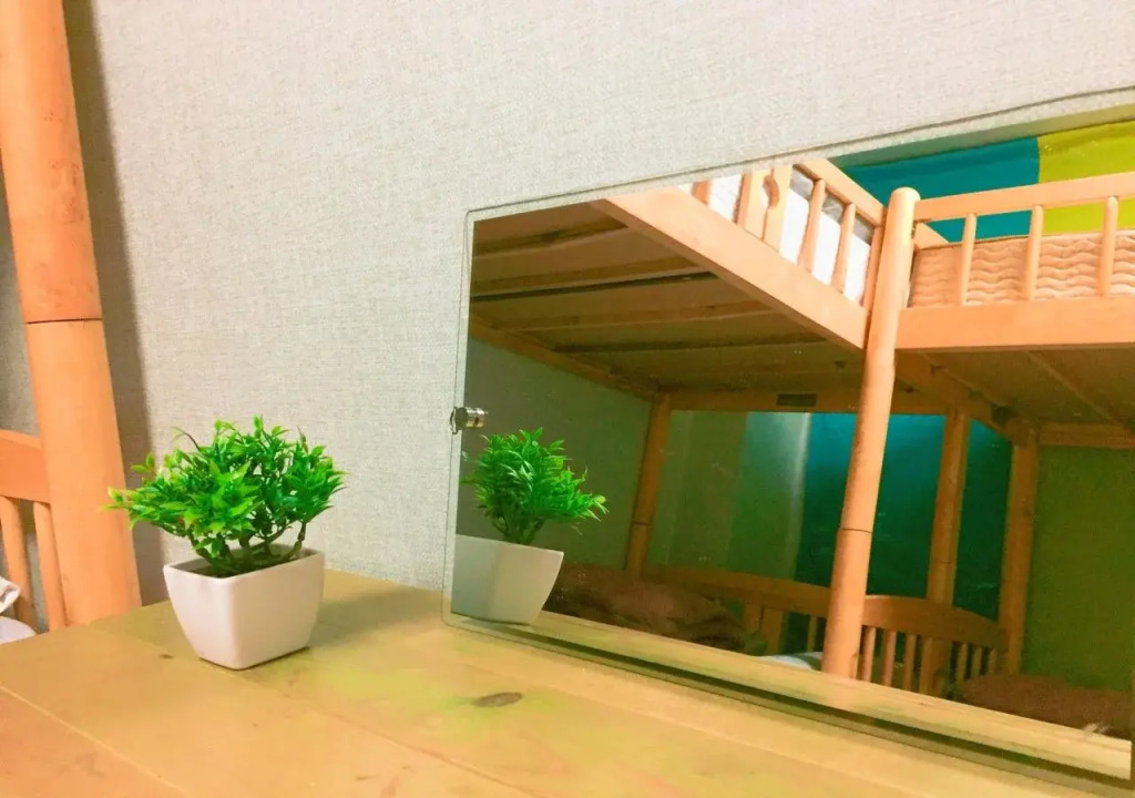 ICOS Guesthouse 1 - Female Only