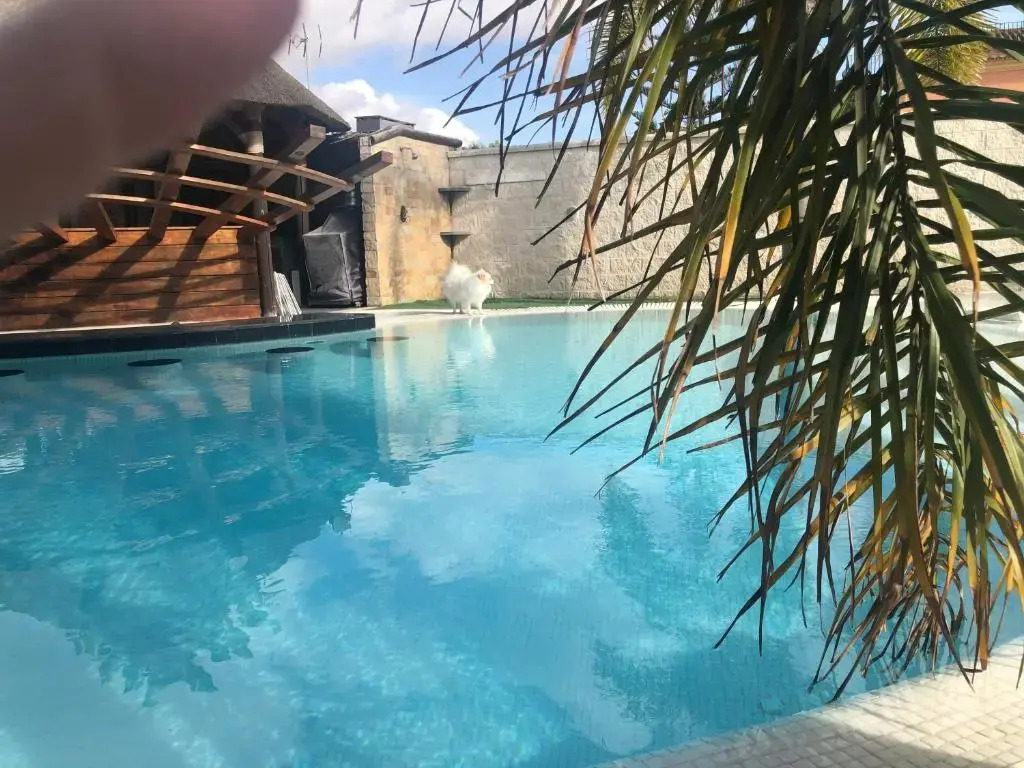 Lavish Villa in Puerto de Santa Maria With Swimming Pool