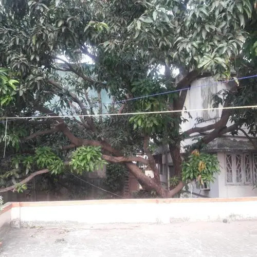 Vagabong Diaries Hostel