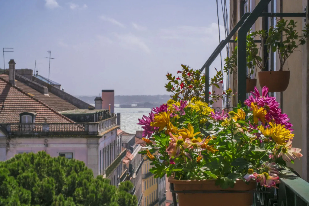 Casinha das Flores