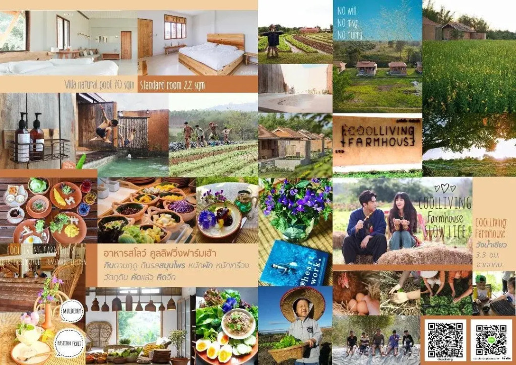 COOLLiving Farmhouse Organic