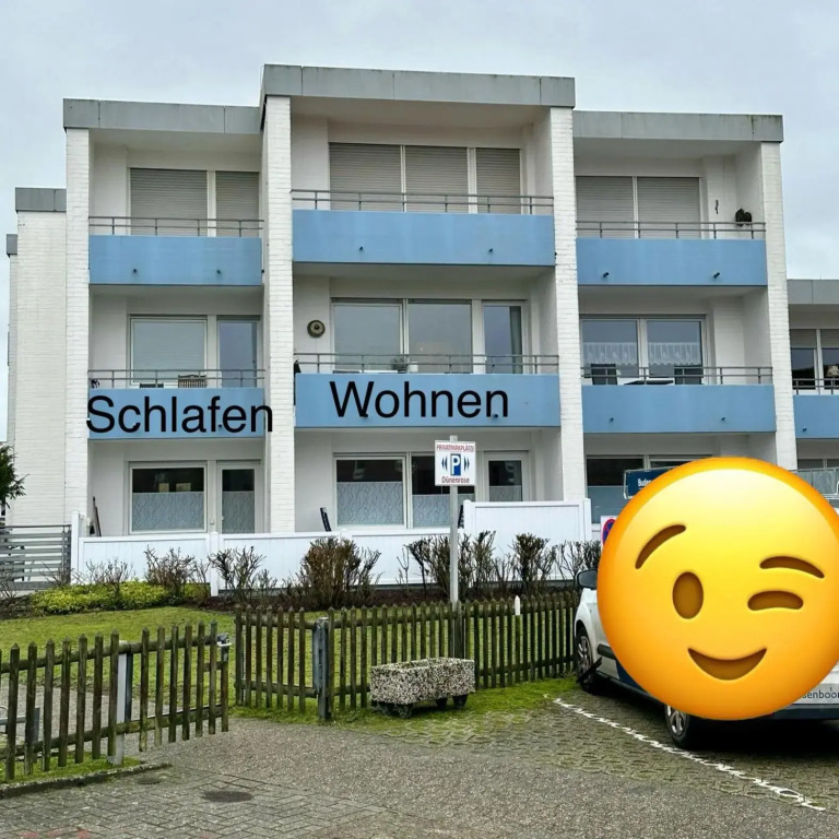 Dünenrose am Nordstrand