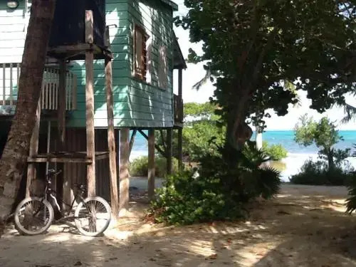 coconut grove